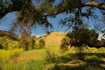 DSC_6393 (Large).JPG